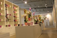 Pottery Direct (21)
